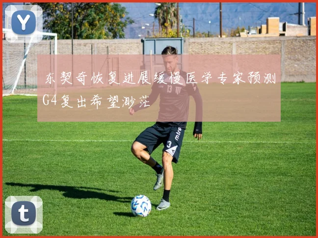 东契奇恢复进展缓慢医学专家预测G4复出希望渺茫