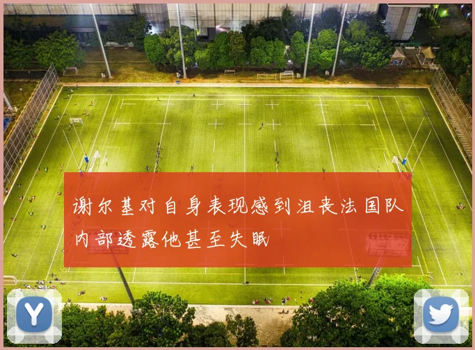 谢尔基对自身表现感到沮丧法国队内部透露他甚至失眠
